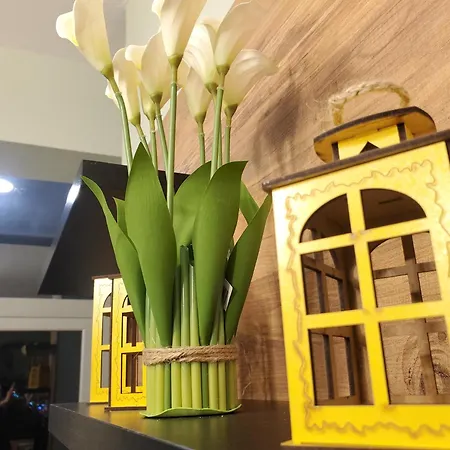 Cityscape 2br Kavaja St, 11 Fl, Dajti View *